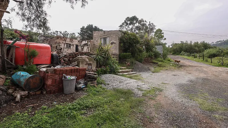 Tigre Kenzo Municipio de Tepetlaoxtoc y poblado de San Bernardo Tlalmimilolpan